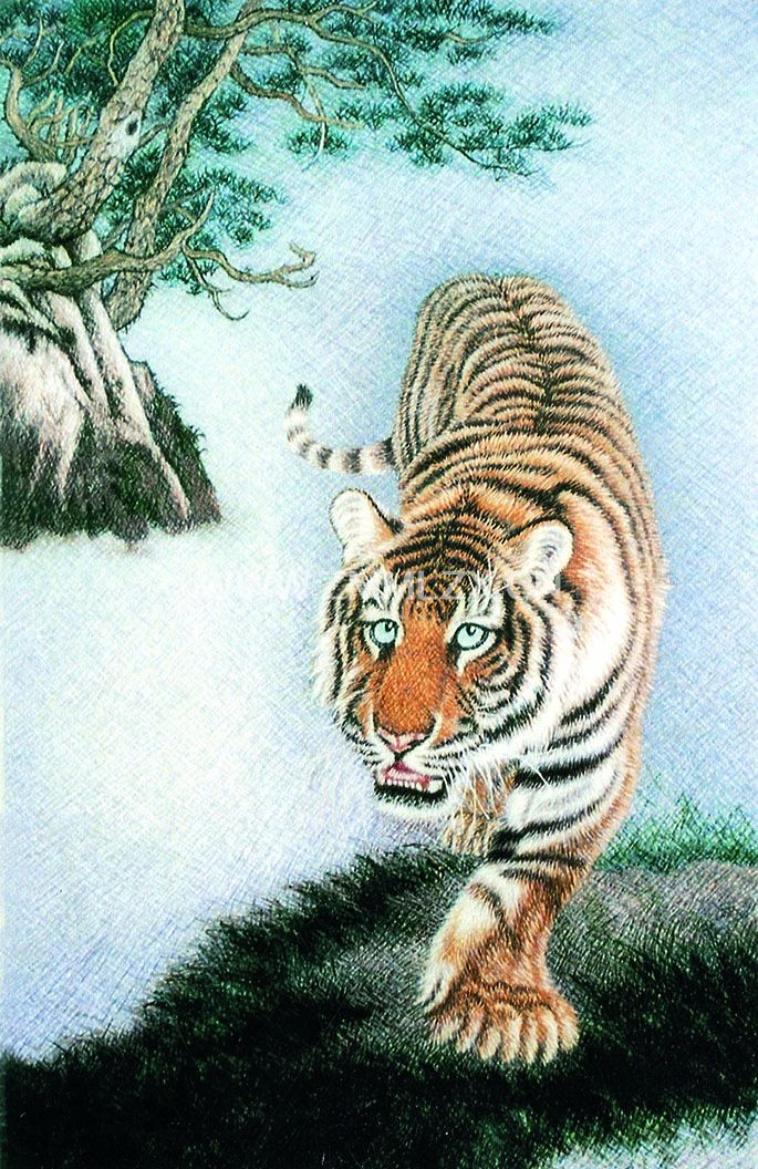 老虎
